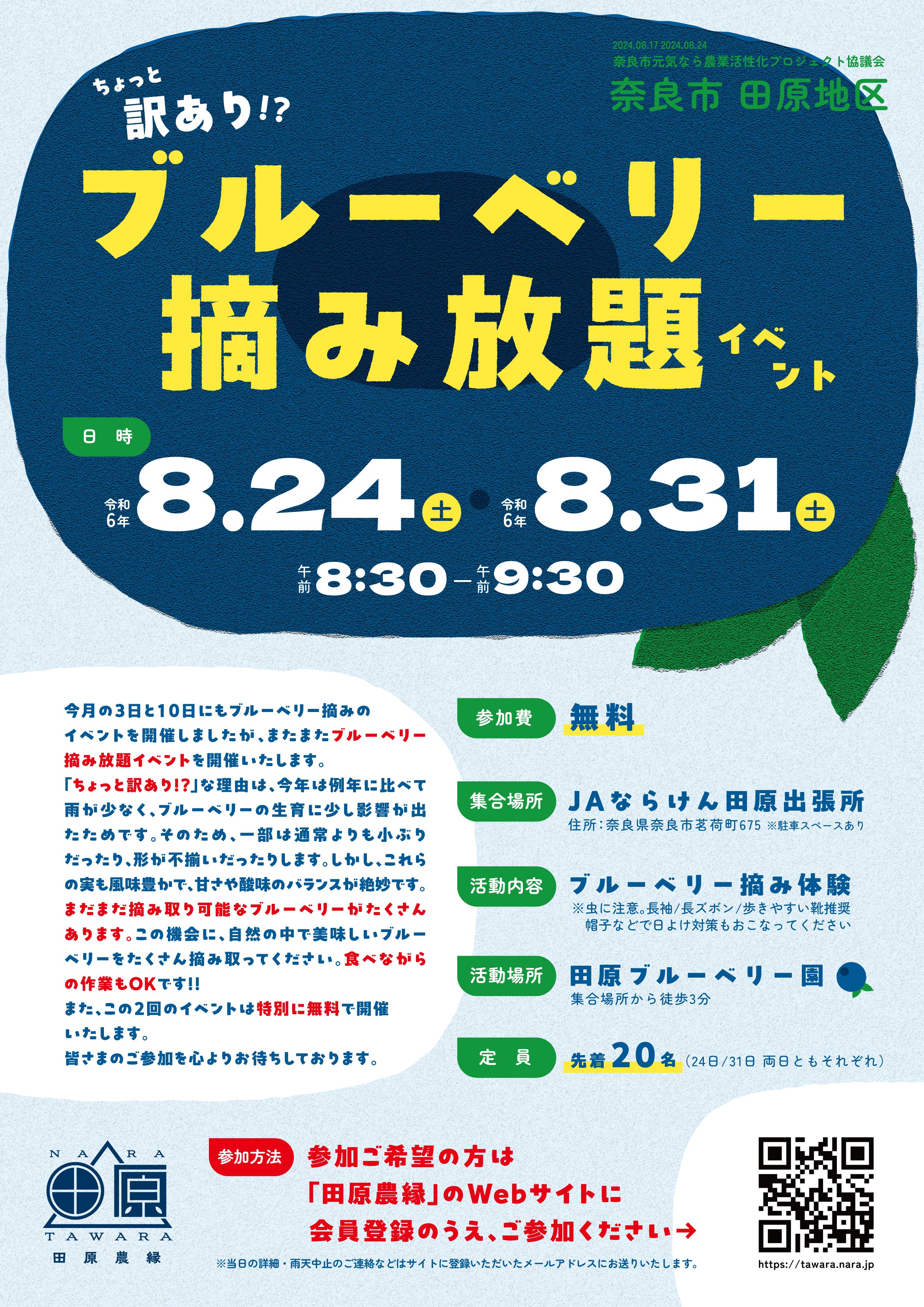 8/24 ブルーベリー摘み放題イベント