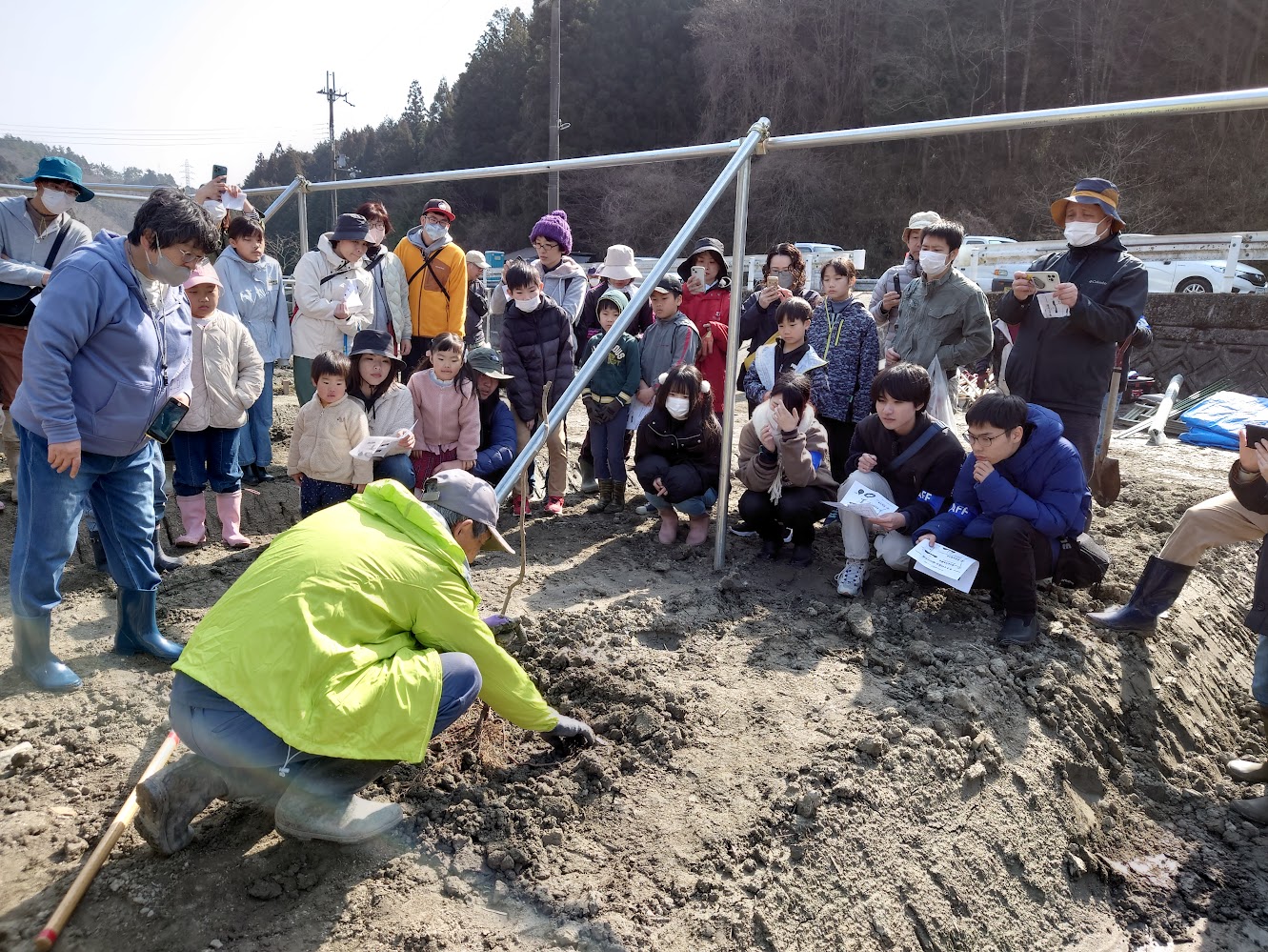 須山キウイフルーツ畑